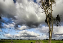 央视称梅西为球王，C罗的足球地位该如何解读？